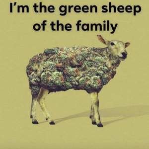 Meet your Posher, Andy